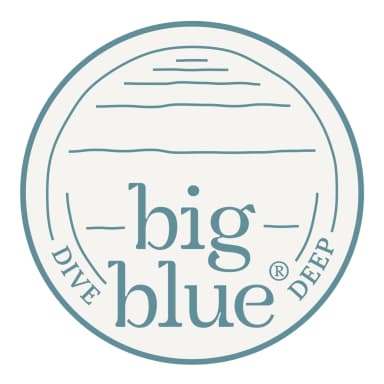 Studio Big Blue