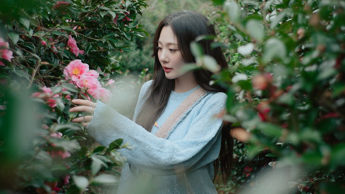 Bolbbalgan4