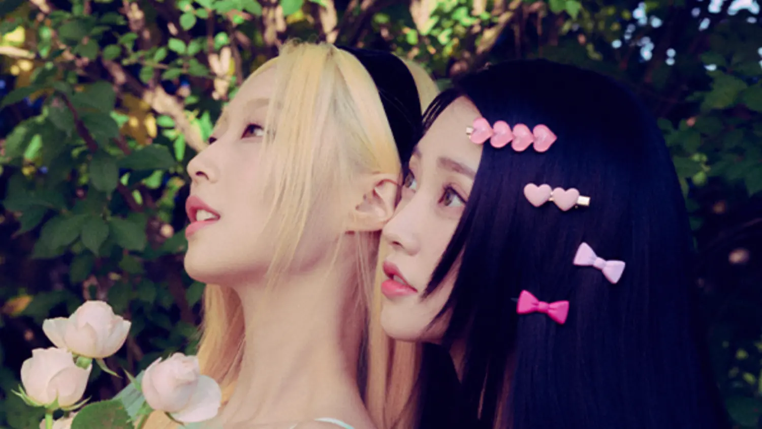 JAJUNG