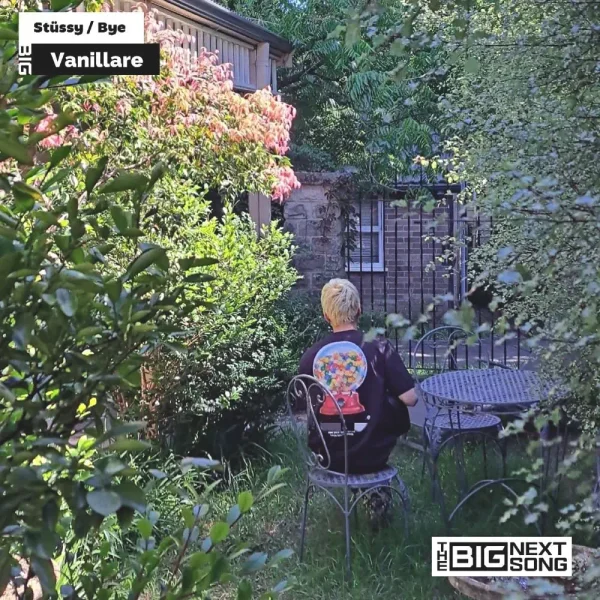 Stüssy / Bye