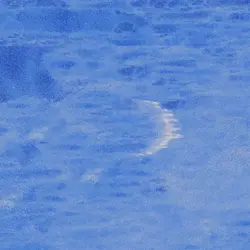 Let me be your sea