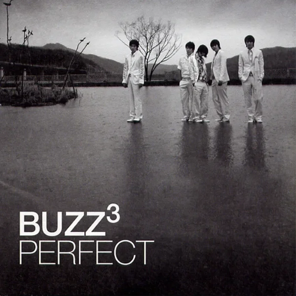 Pefect STUDIO • 2006