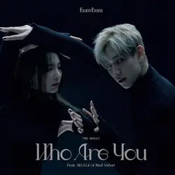 Who Are You (Ft. Seulgi)