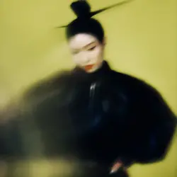 Yokjido