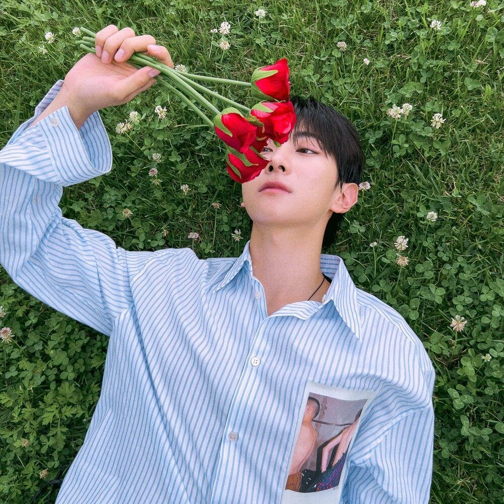 Bloom
