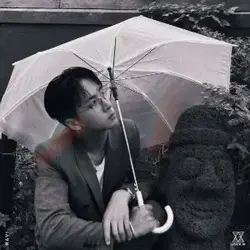 RAIN DROP