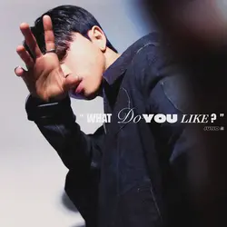 WDYL (What Do You Like?)