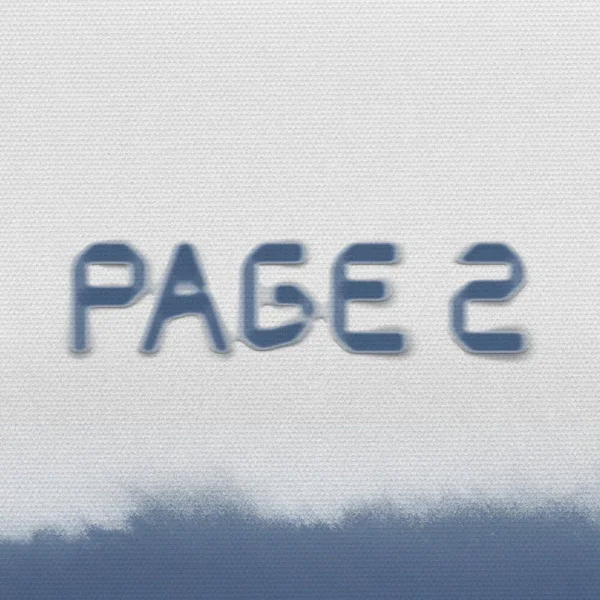 PAGE 2