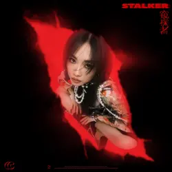 STALKER