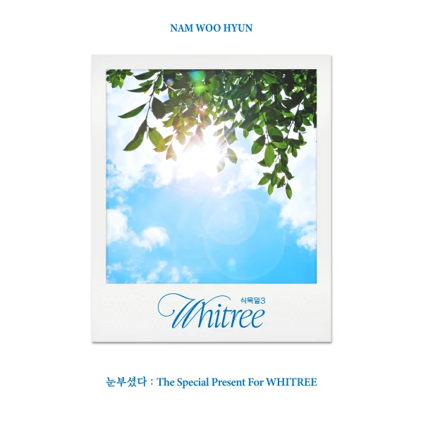 Sunshine : The Special Present For WHITREE STUDIO • 2024