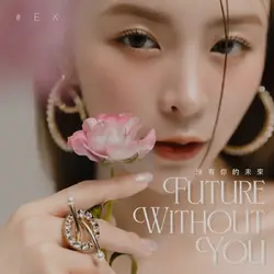 Future Without You
