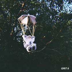 Grit 8