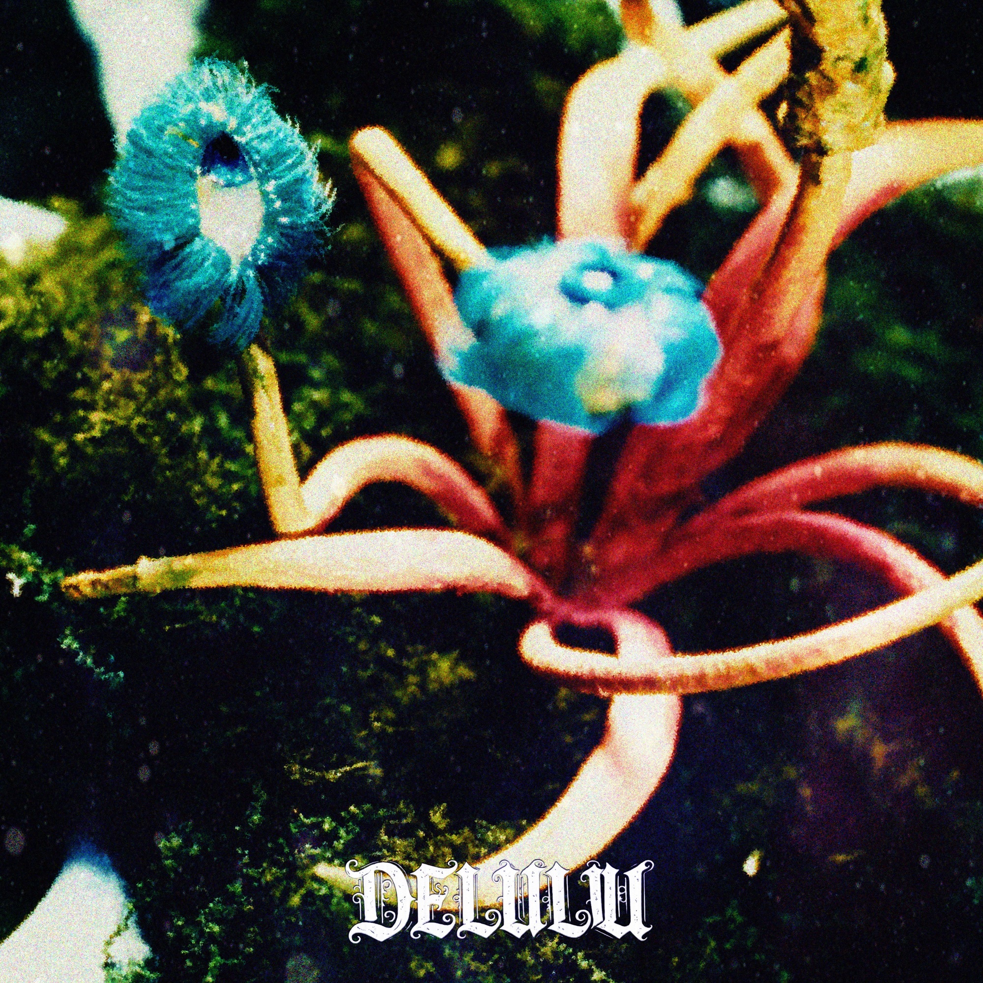 Delulu