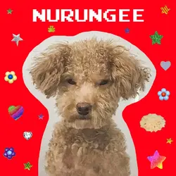 Nurungee