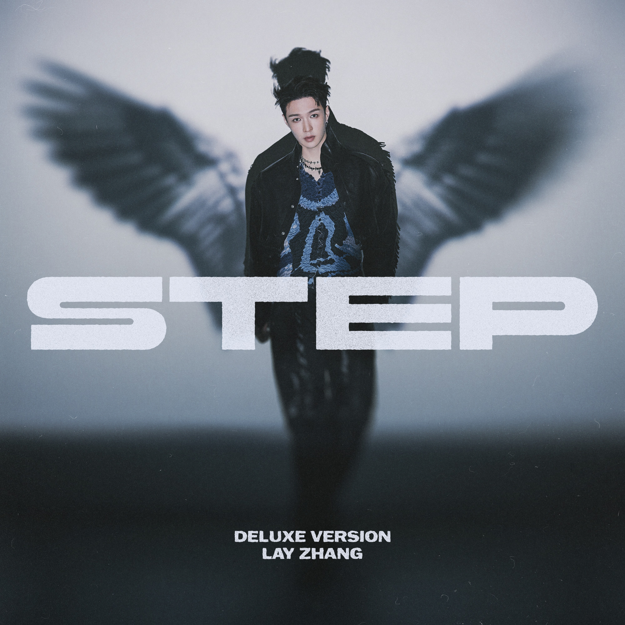 STEP (Deluxe Version) STUDIO • 2024