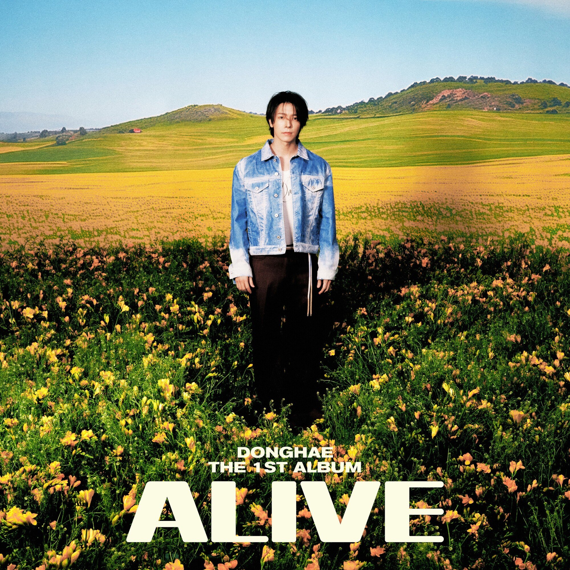 ALIVE STUDIO • 2026
