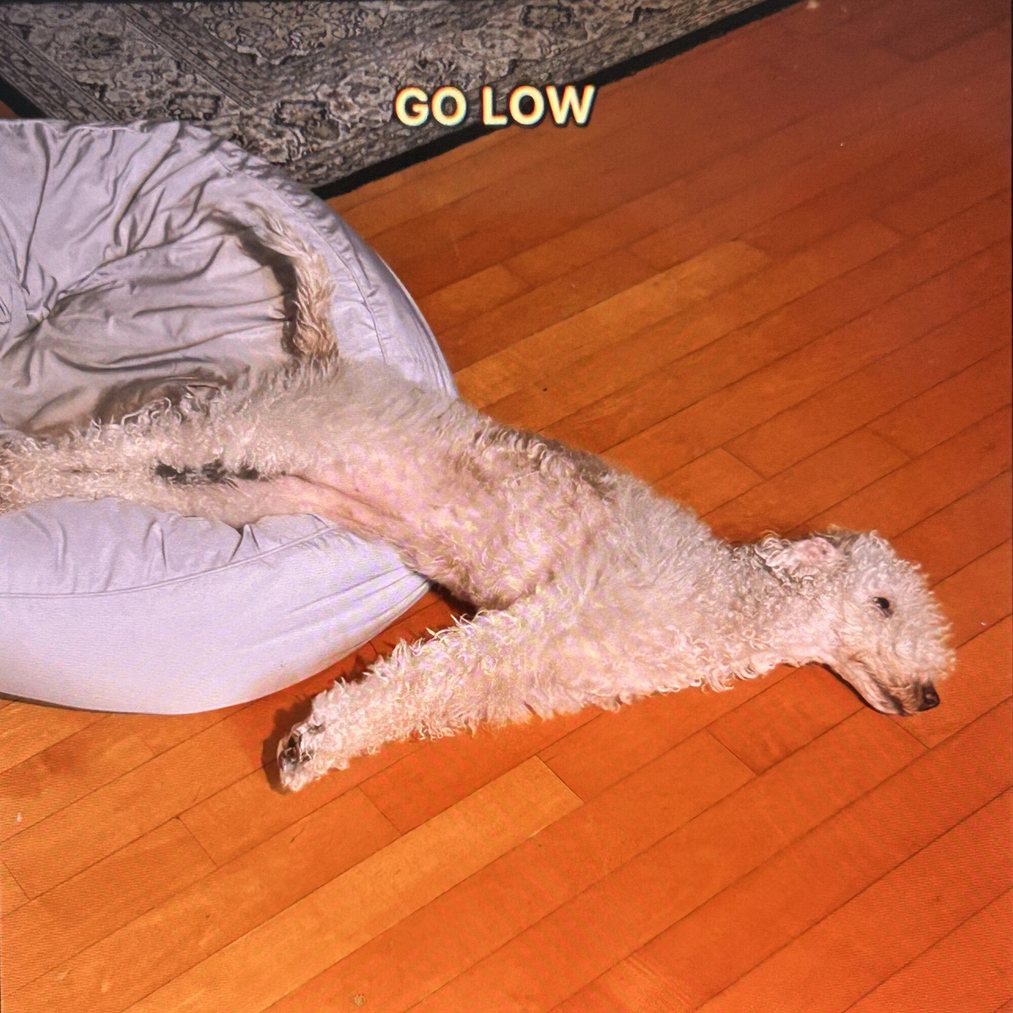 GO LOW