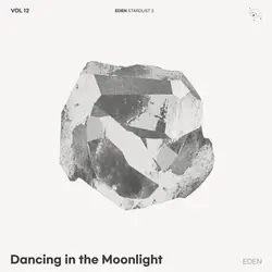EDEN_Stardust2 Vol.12