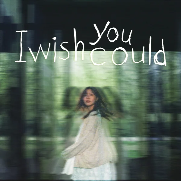 I wish you could