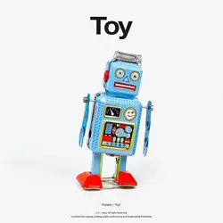 Toy