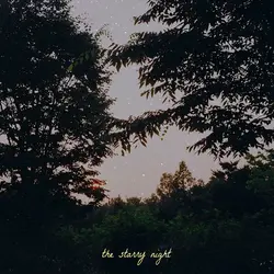 the starry night