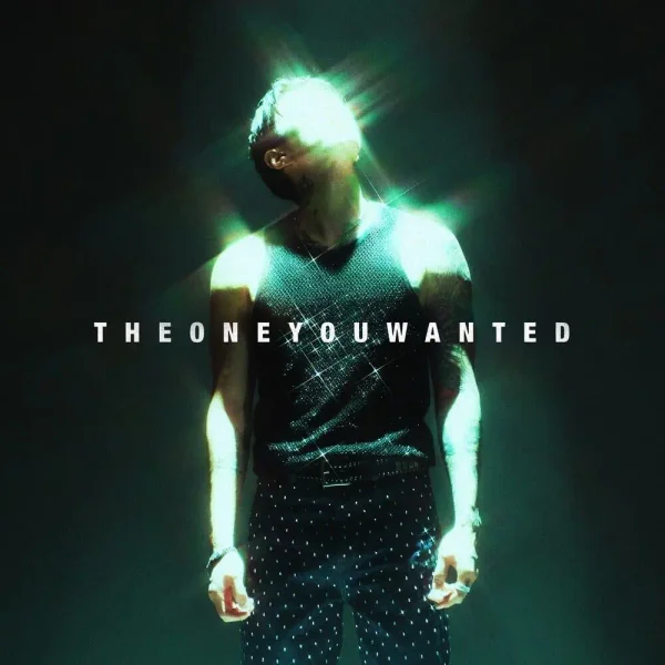 The One You Wanted STUDIO • 2024