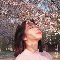 My Ideal Type