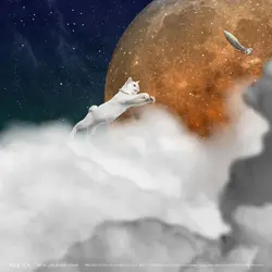 Over the Clouds