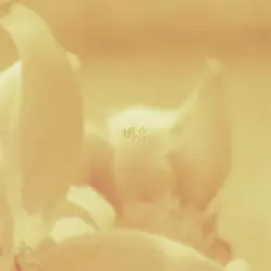 비유 Metaphor
