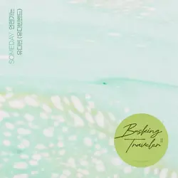 Yu Dabin X Busking Traveler 2