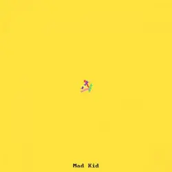 Mad Kid