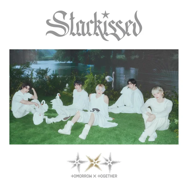 Starkissed STUDIO • 2025