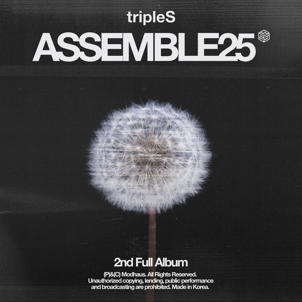 ASSEMBLE25 STUDIO • 2025