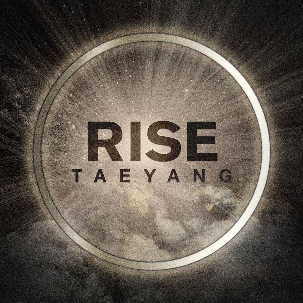 RISE STUDIO • 2014