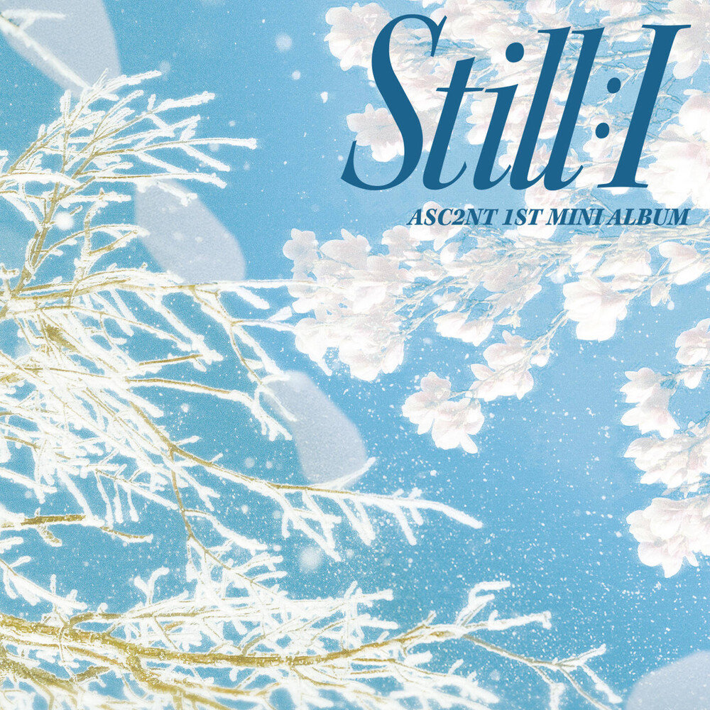 Still:I