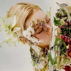 Every Flower You Gave Me