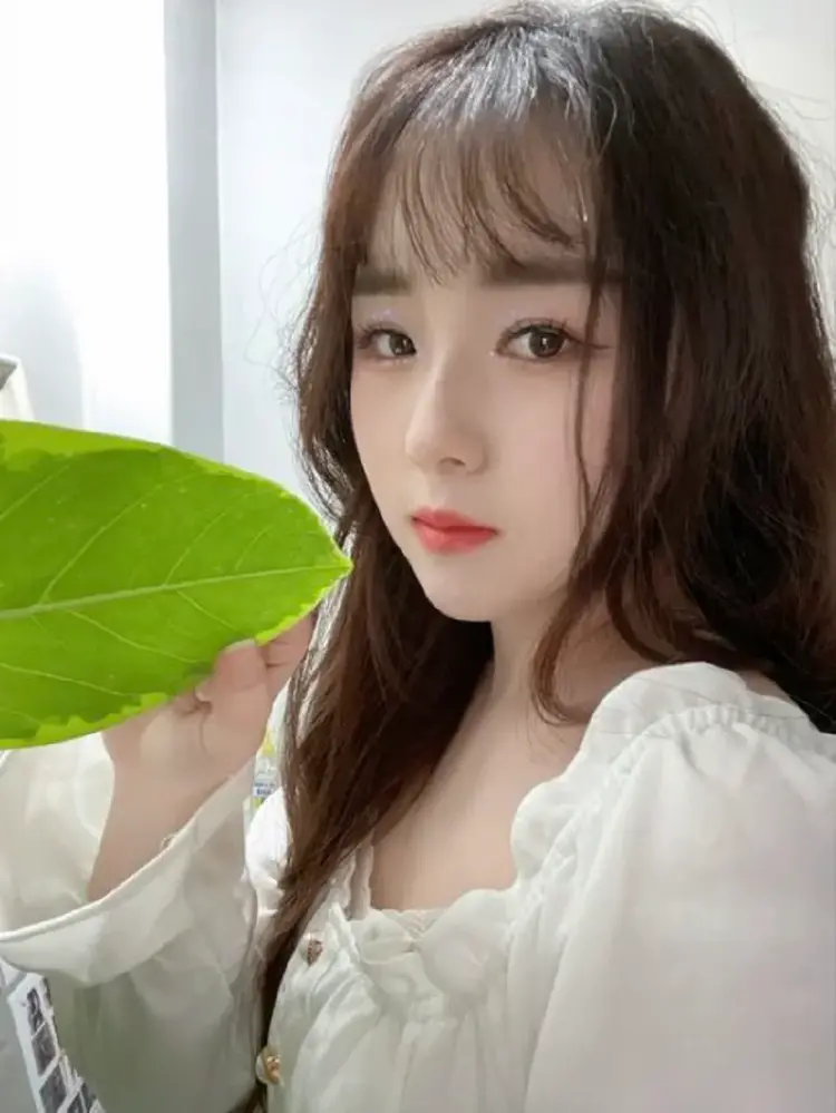 Fan Jiayi