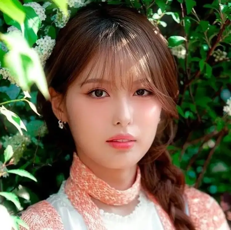 Ahin