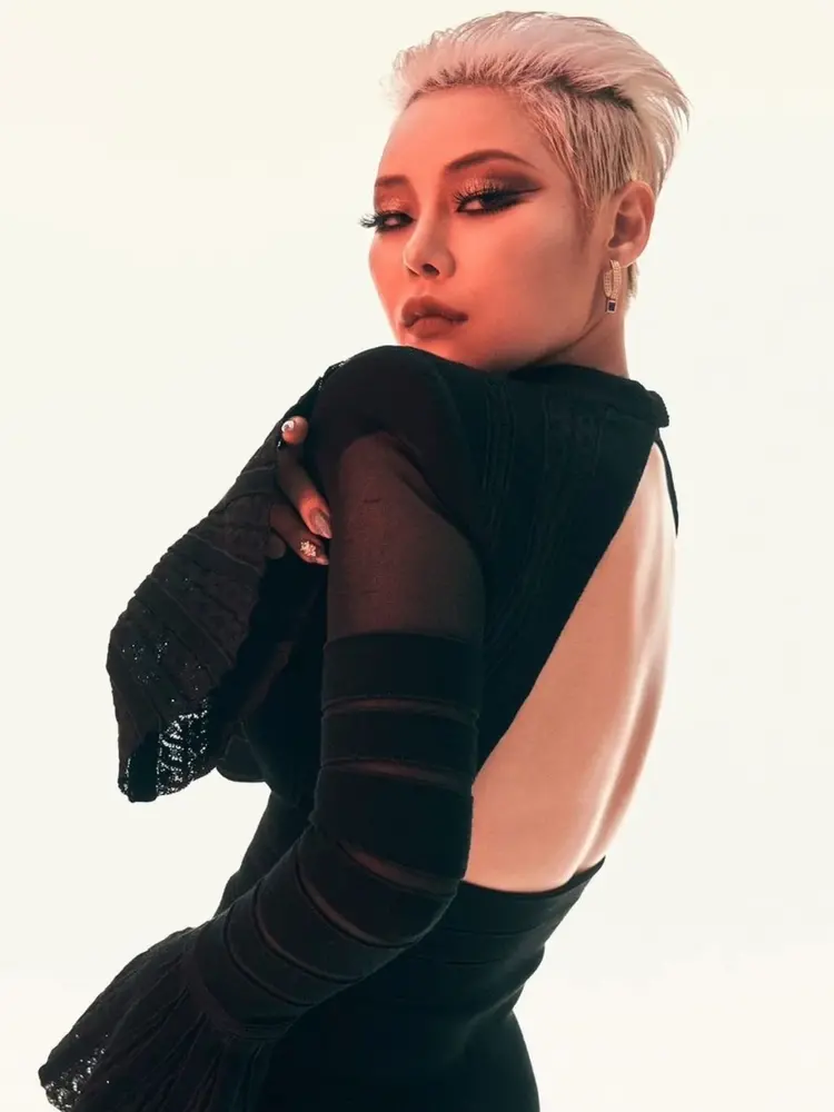 Cheetah