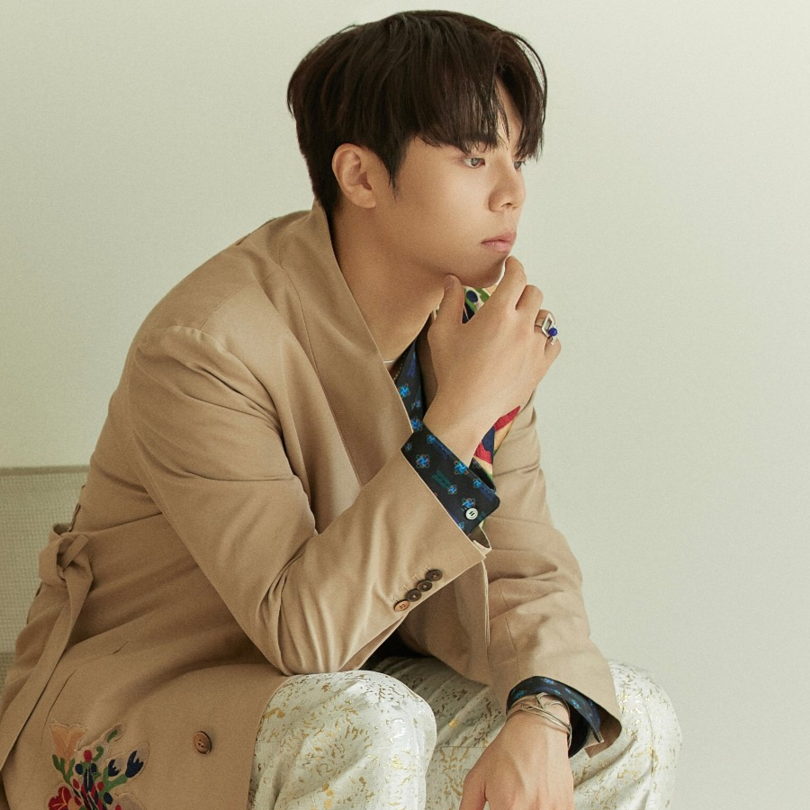 Suin