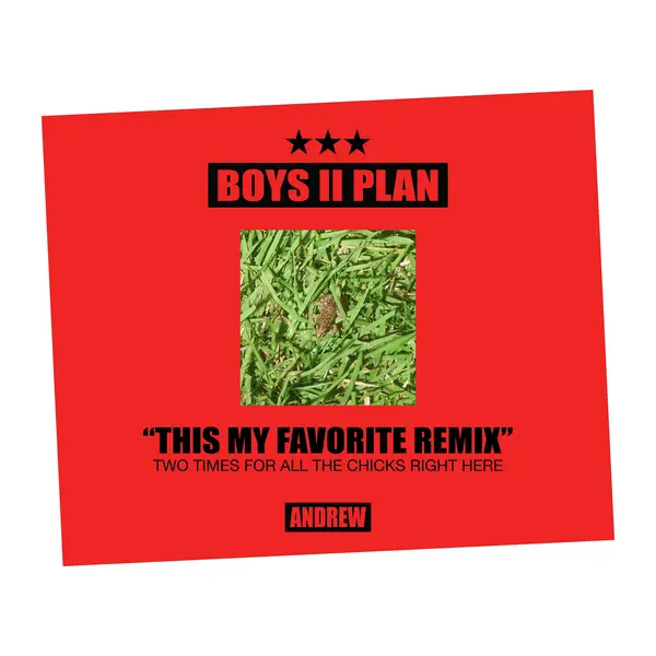 Boys Ii Plan