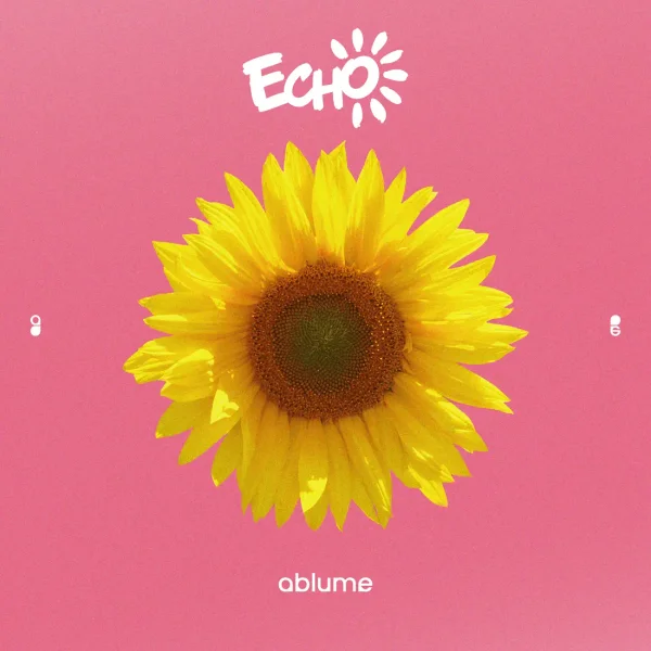 Echoes of Echo