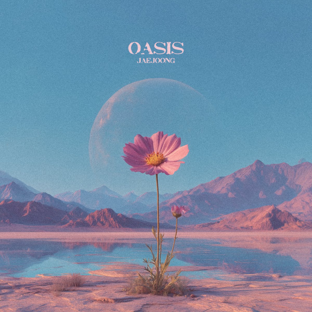 Oasis