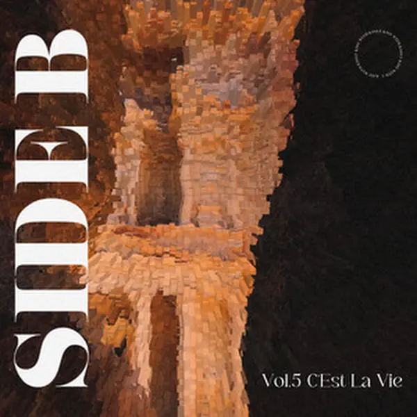 C Est La Vie Side B Vol 5