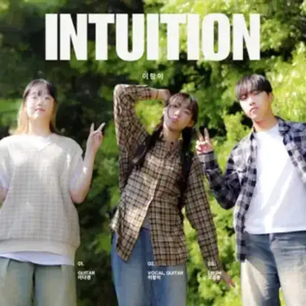 Intuition